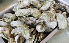 日韩一卡2卡3卡4卡新区免费